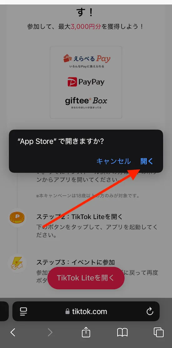 tiktok lite 3,000円