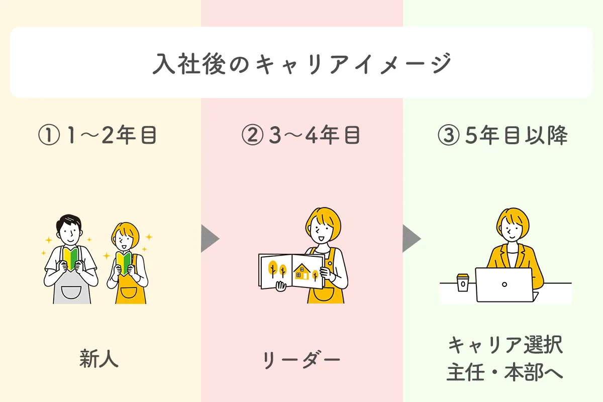 檸檬会 入社後のキャリアイメージ