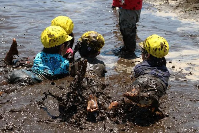 社会福祉法人 どろんこ会