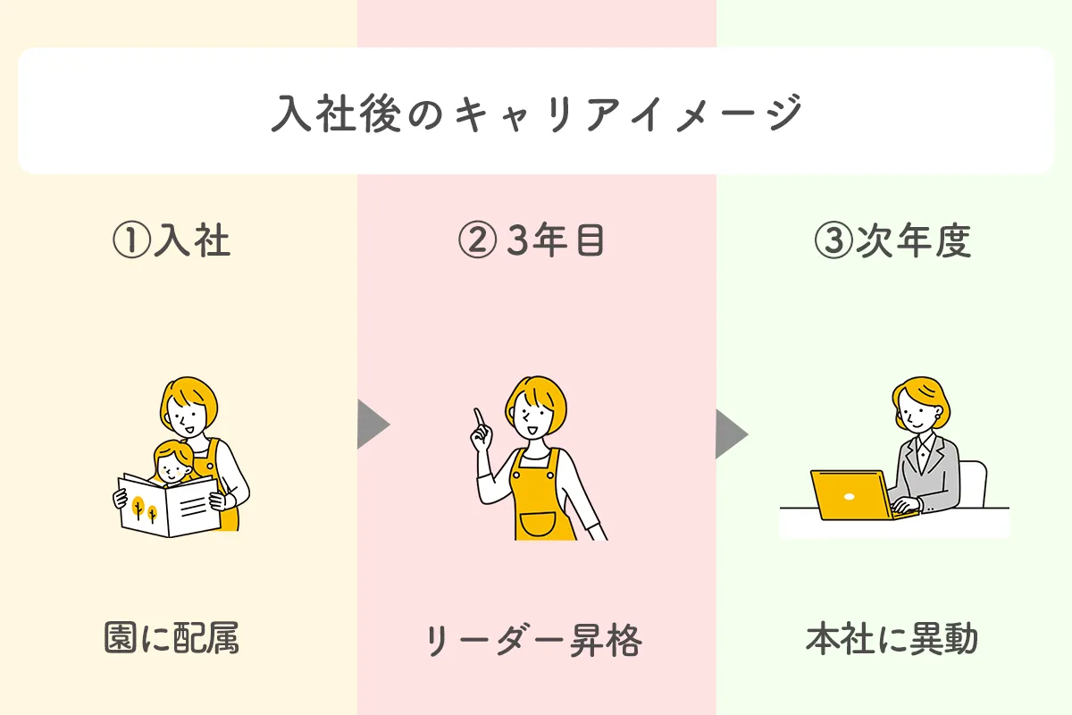 どろんこ会 入社後のキャリアイメージ